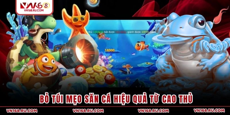 “Bỏ túi” mẹo săn cá hiệu quả từ cao thủ
