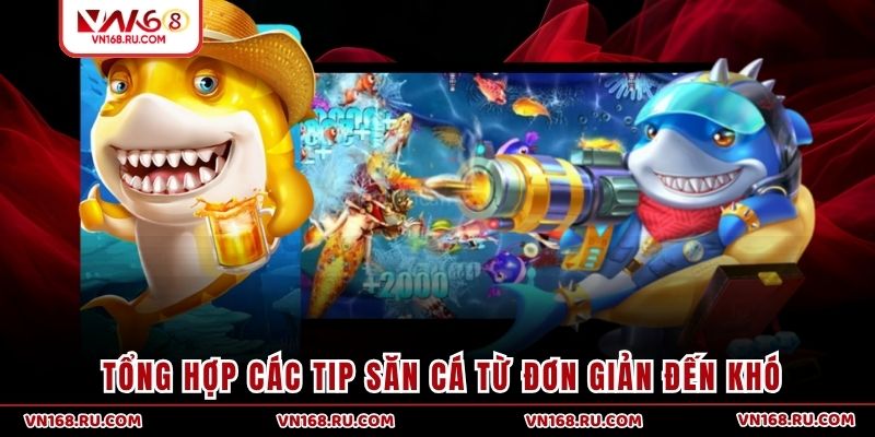 Tổng hợp các tip săn cá từ đơn giản đến khó