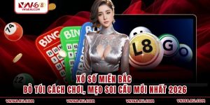 Xổ Số Miền Bắc - Bỏ Túi Cách Chơi, Mẹo Soi Cầu Mới Nhất 2026
